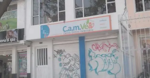 CAMVET CAMVET