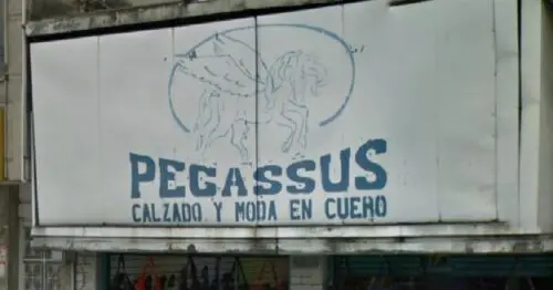 PEGASSUS PEGASSUS