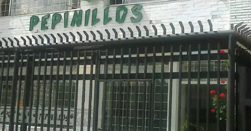 PEPINILLOS PEPINILLOS