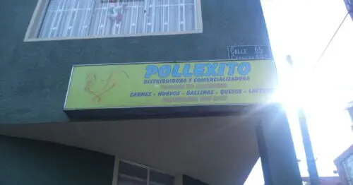 POLLEXITO POLLEXITO