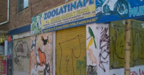 ZOOLATINAPET ZOOLATINAPET