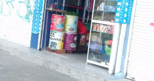 ANIMALIANDO ANIMALIANDO