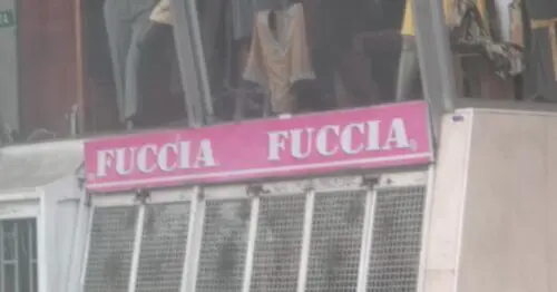 FUCCIA FUCCIA