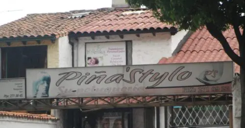 PINASTYLO PINASTYLO